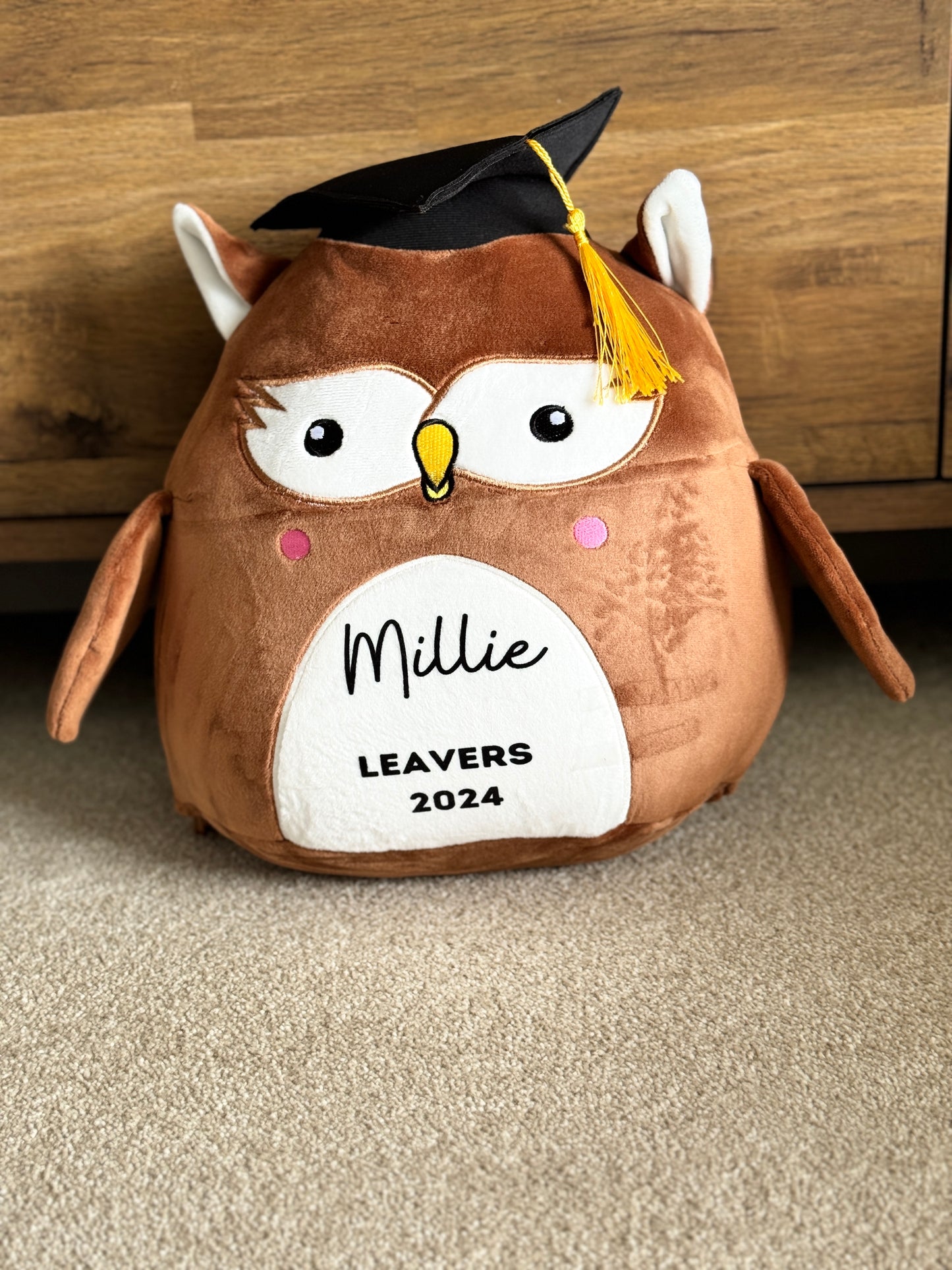 Personalised Squidgy graduation soft toy / graduation gift / nursery school university college gift/ graduation memories teddy