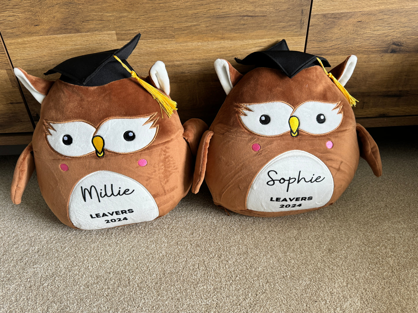 Personalised Squidgy graduation soft toy / graduation gift / nursery school university college gift/ graduation memories teddy