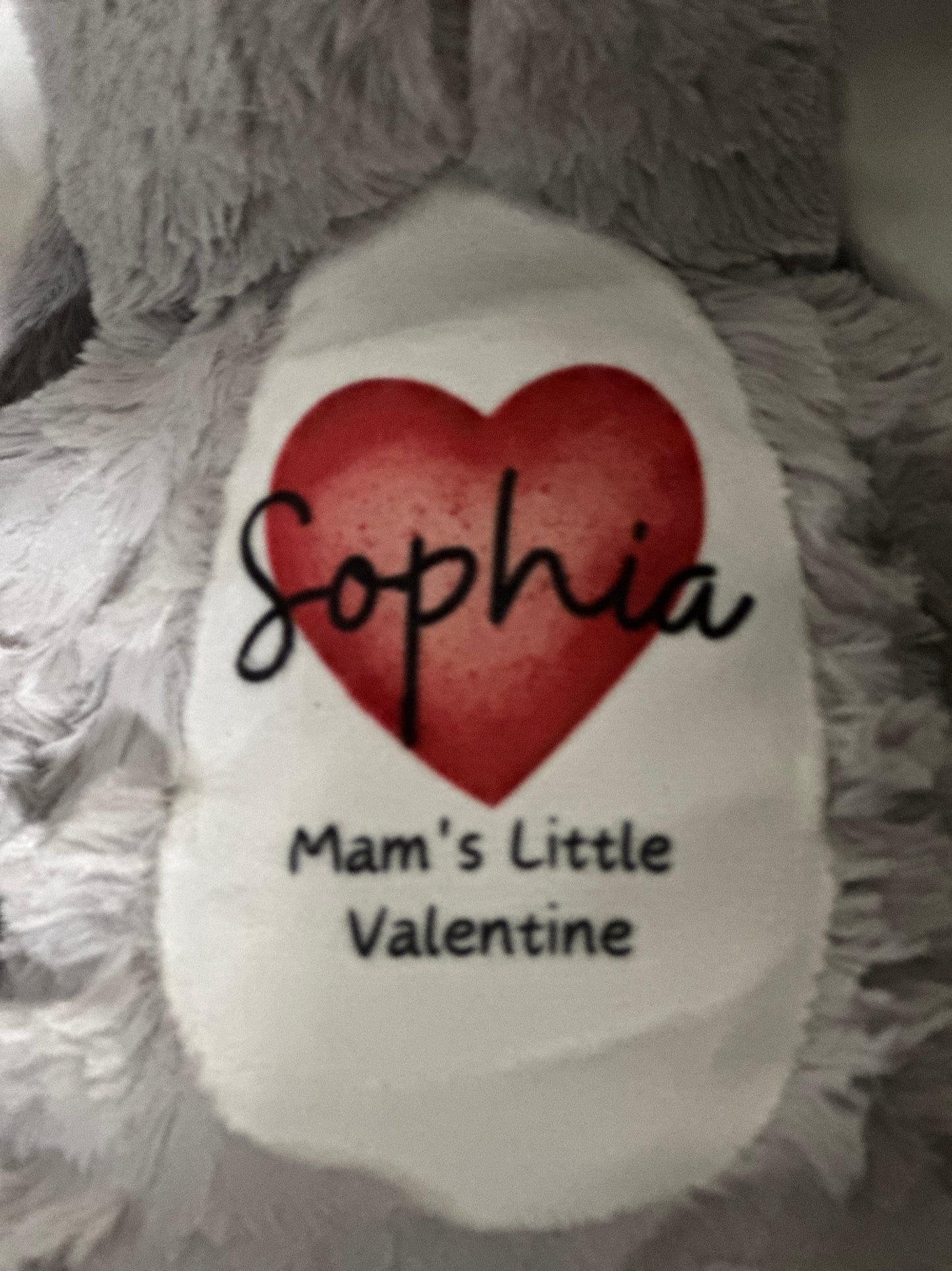 Personalised Valentines Teddy, Girlfriend's Valentines Bunny, Valentines Gift for her, Valentines Soft Toy, Girlfriend Gift, Couple Gift,